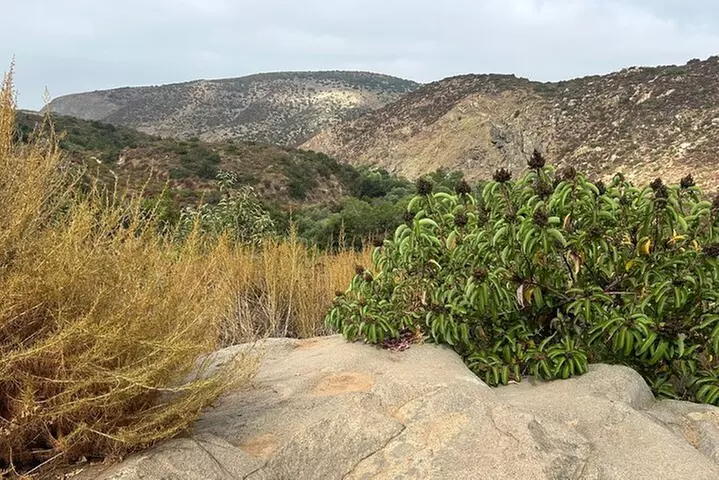 San Diego Mountain Hike Tour