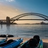 Image 11: Sydney Harbour Serenity Sunrise Tour