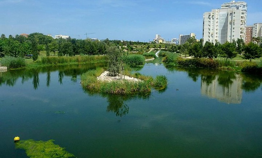 Image 8: Tour en bicicleta alrededor de Alicante
