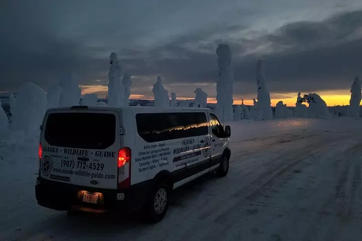 Arctic Circle and Northern Lights Tour from Fairbanks