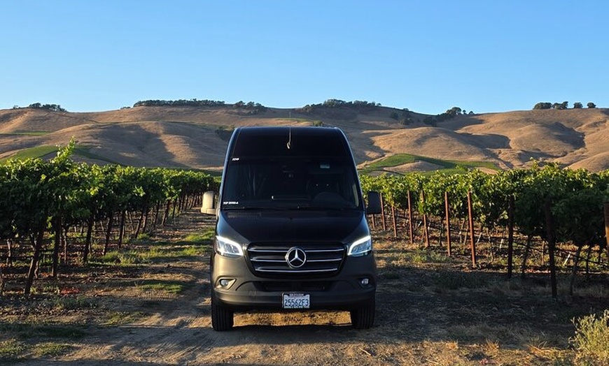 Image 6: Exclusive Private Custom Napa Valley Wine Tour in a Fun Van
