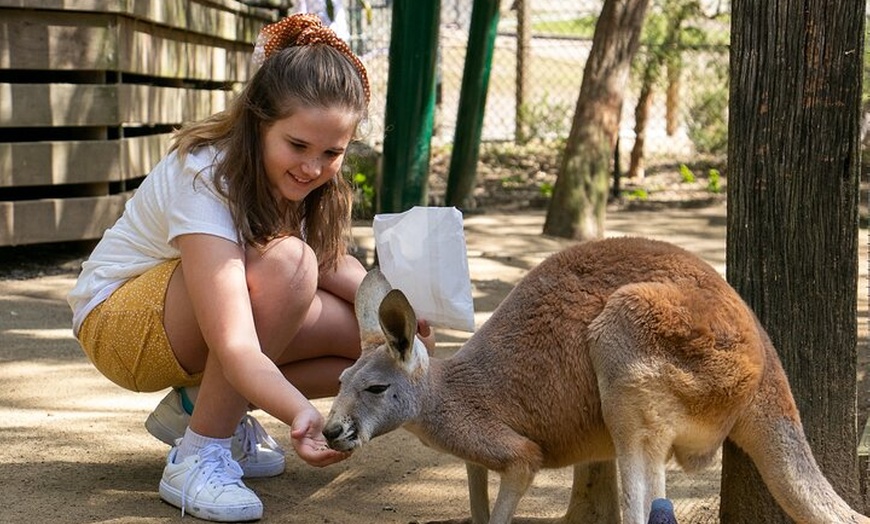 Image 14: Currumbin Wildlife Sanctuary General Entry Ticket