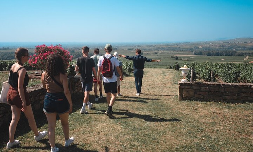 Image 5: Excursion privée d'une journée au départ de Lyon en Beaujolais