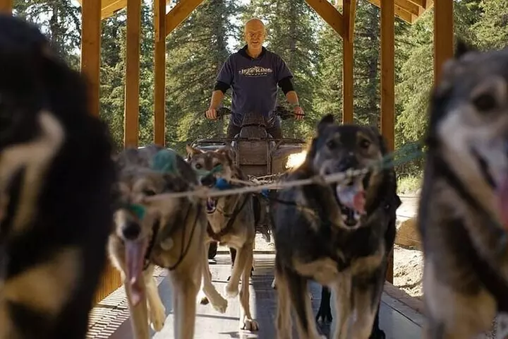 Husky Homestead Tour