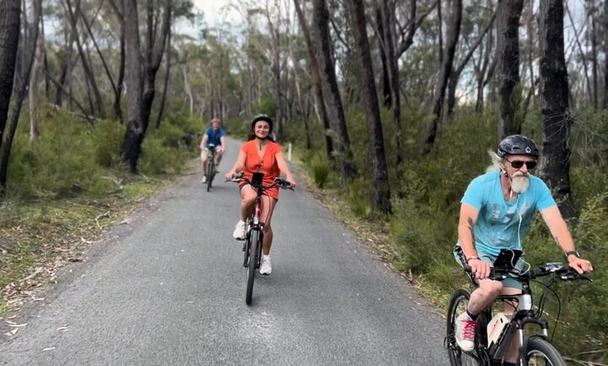Image 3: Self Guided Electric Bicycle Tour of Bundanoon