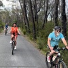 Image 3: Self Guided Electric Bicycle Tour of Bundanoon