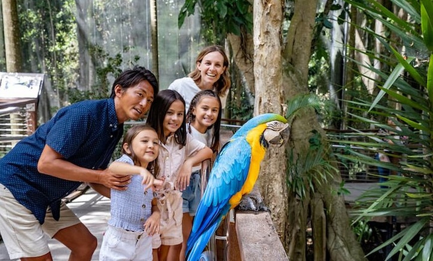 Image 12: Currumbin Wildlife Sanctuary & Burleigh Heads Private Tours