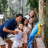 Image 12: Currumbin Wildlife Sanctuary & Burleigh Heads Private Tours