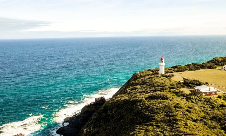 Image 3: Mornington Peninsula Private Day Tour