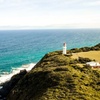 Image 3: Mornington Peninsula Private Day Tour