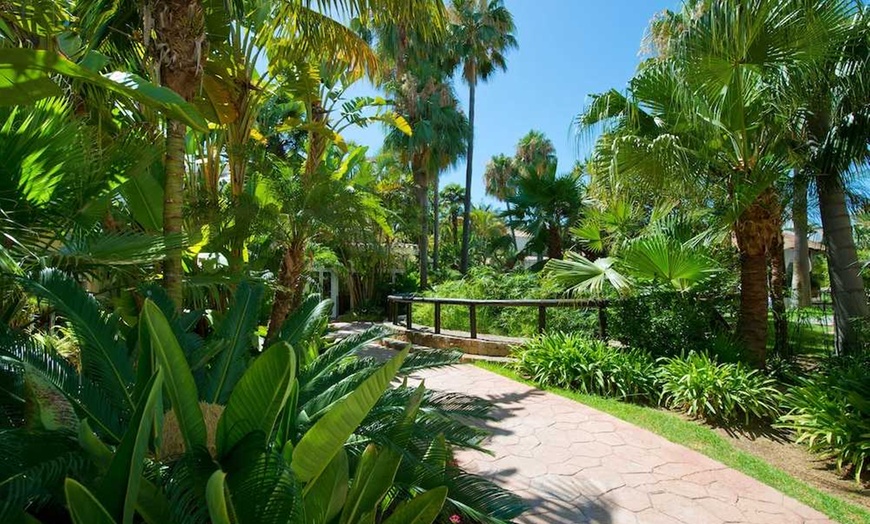 Image 50: ✈ COSTA DEL SOL | Marbella - BlueBay Banús 4*, 3 Nächte - Außenpool