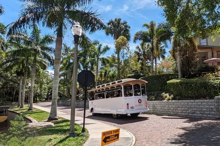 St Petersburg Ultimate (ALL-IN-ONE) City Trolley Tour