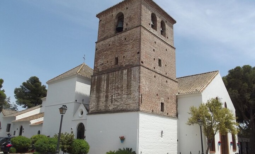 Image 6: Excursión privada de un día a Las Mijas desde Málaga