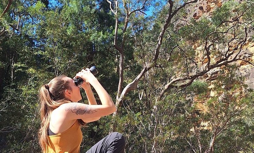 Image 5: Blue Mountains 3 Hour Guided Eco Tour - close to Sydney