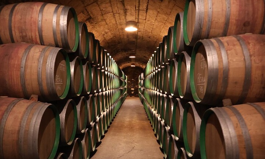 Image 7: Clase magistral de acceso y degustación exclusiva de bodegas secret...