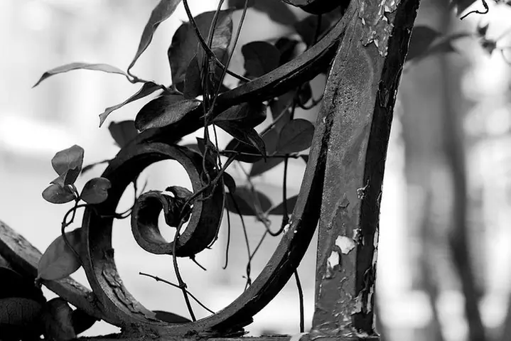 Genteel and Bard's Savannah Dark History and Ghost Encounter Walkin...