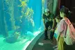 Museum Row Tour: Space, Dinosaurs and Sports at Exposition Park - Second Medium