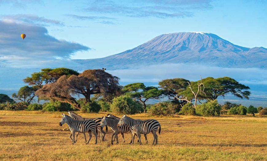 Image 10: ✈ TANZANIE | Du Kilimanjaro à Nairobi - Safaris en Afrique entre la...