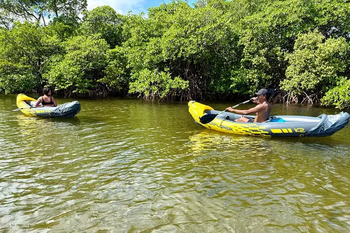 Fort Lauderdale: Kayak/SUP on Mangroves w/ Snacks & Drinks