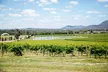 Hunter Valley Wine Tasting Tour from Sydney - Image 3