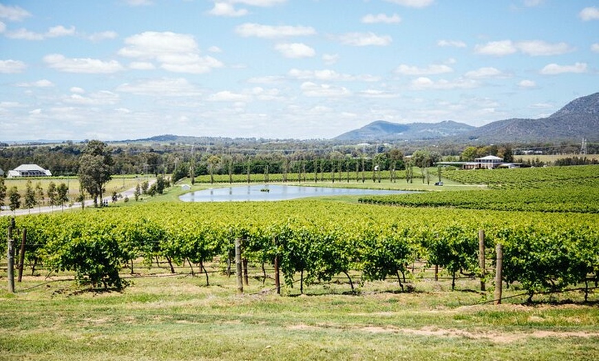 Image 3: Hunter Valley Wine Tasting Tour from Sydney