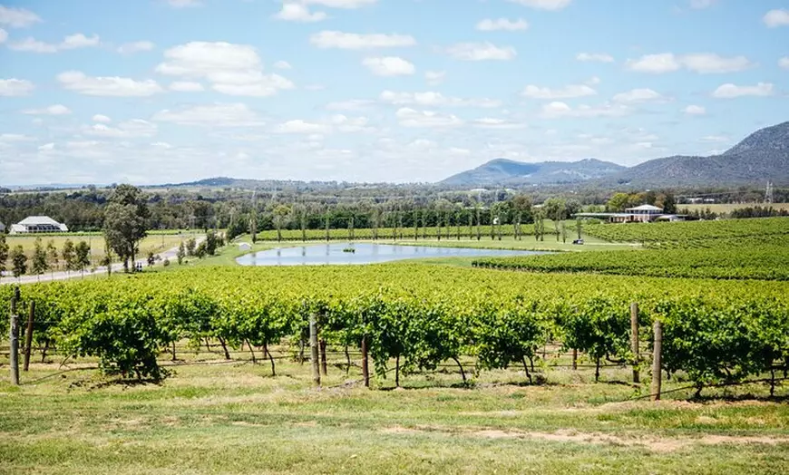 Image 2: Small-Group Hunter Valley Wine Tasting Tour from Sydney