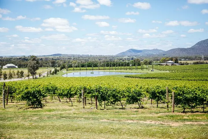 Hunter Valley Wine Tasting Tour from Sydney