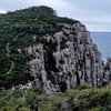 Image 11: Hobart: Cape Hauy Adventure Hike - rugged cliffs & wild beauty