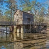 Image 1: Atlanta Stone Mountain Park Private Tour