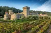 Napa Valley Wine and Food Tasting Tour from San Francisco