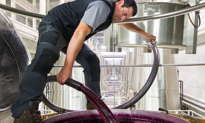 Image 30: Clase magistral de acceso y degustación exclusiva de bodegas secret...