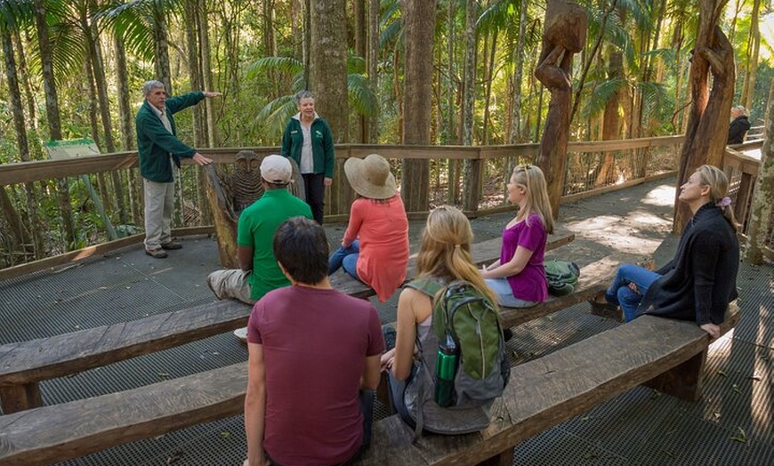 Image 6: Sea Acres Rainforest Boardwalk Tour