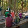 Image 6: Sea Acres Rainforest Boardwalk Tour