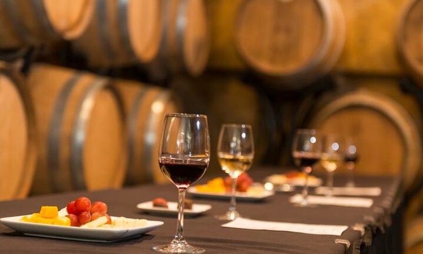 Image 12: Rioja Alavesa: Auténticas experiencias de vino