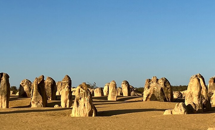 Image 11: Turquoise Coast and Pinnacles Desert, Lunch Included.