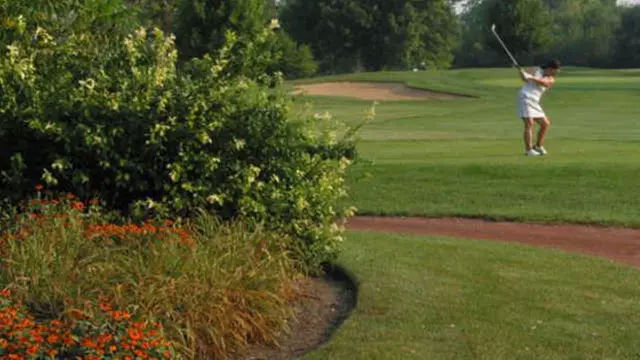 Online Booking - Round of Golf at Twin Lakes Golf Course (Westmont, IL) - Primary Image