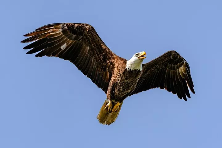 Ft. Lauderdale to Key West Day Trip Quality Day Tours