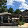 Image 5: Elijay Three Vineyards Private Wine Tasting Tour from Atlanta