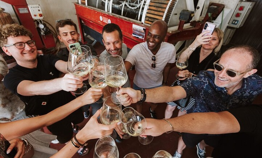 Image 24: Visita Guiada a Bodegas Rurales de Madrid con Cata de Vinos