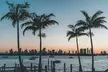 Wynwood Art Walk Self-Guided Tour of Murals & Creativity - Second Medium