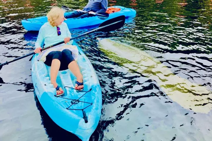 Dolphin, Manatee and SeaTurtle SUP Adventure Tour of St Augustine