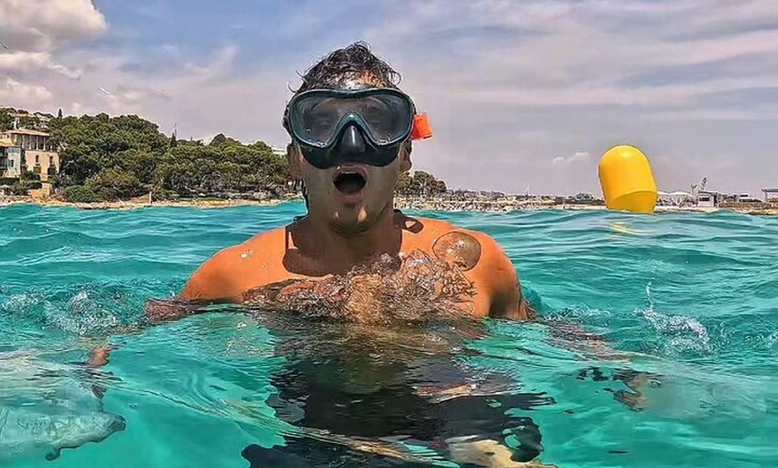 Image 12: Navega por Aguas Cristalinas y Descubre la Magia de Mallorca