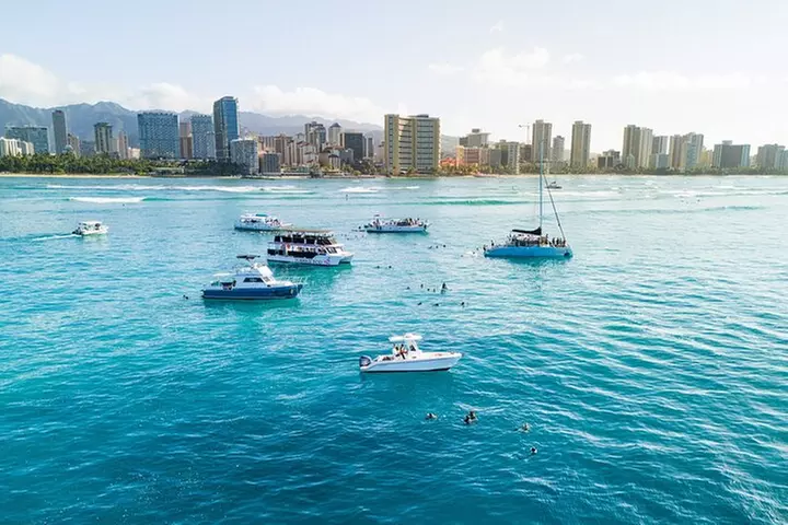 Turtle Canyon Snorkel in Waikiki, Oahu Semi Private