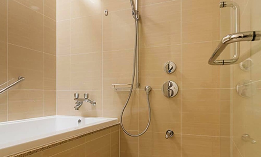 Image 244: ✈ JAPAN | Tokyo - Hotel East21 Tokyo 4*, 3 nights - City break