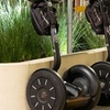 Image 4: Brisbane Segway Sightseeing Tour