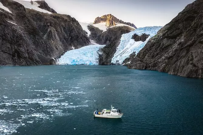 Fish and Fjord Tour in Kenai Fjords National Park - Primary Image