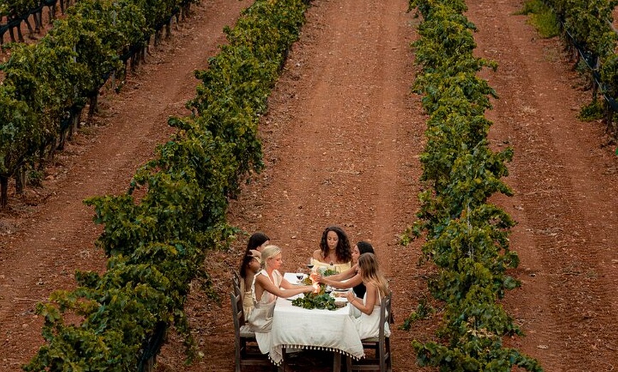 Image 15: Ibiza : Cata privada de vinos y aceites de oliva y Tapas y transporte