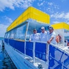 Image 1: Isla Mujeres Private Catamaran Tour with Transportation