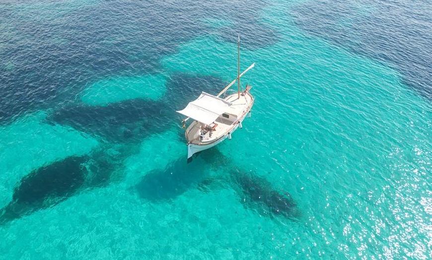 Image 17: Eco Charter Experience Palma