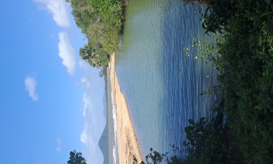 Image 6: Cairns City Half Day Tour